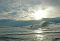 DSC_0038 copie